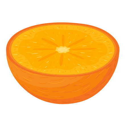 Fresh half cut persimmon fruit isolated on white background. Summer fruits for healthy lifestyle. Organic fruit. Cartoon style. Vector illustration for any design.のイラスト素材