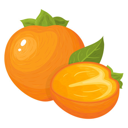 Fresh whole and half cut persimmon fruits isolated on white background. Summer fruits for healthy lifestyle. Organic fruit. Cartoon style. Vector illustration for any design.のイラスト素材