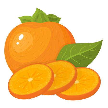 Fresh whole and cut slices persimmon fruits isolated on white background. Summer fruits for healthy lifestyle. Organic fruit. Cartoon style. Vector illustration for any design.のイラスト素材