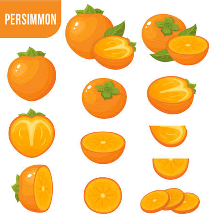 Set of fresh whole, half, cut slice persimmon fruits isolated on white background. Summer fruits for healthy lifestyle. Organic fruit. Cartoon style. Vector illustration for any design.のイラスト素材