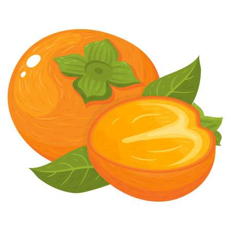 Fresh whole and half cut persimmon fruits isolated on white background. Summer fruits for healthy lifestyle. Organic fruit. Cartoon style. Vector illustration for any design.のイラスト素材