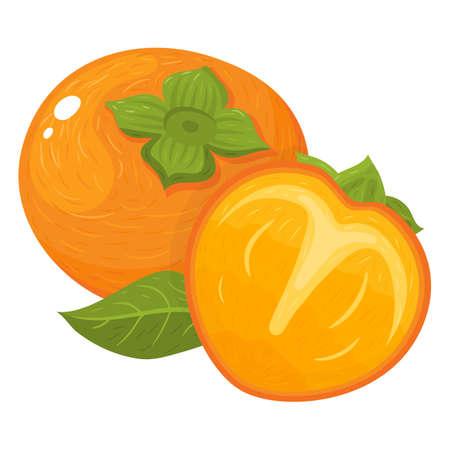 Fresh whole and half cut persimmon fruits isolated on white background. Summer fruits for healthy lifestyle. Organic fruit. Cartoon style. Vector illustration for any design.のイラスト素材