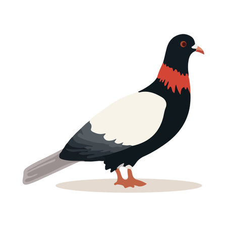 Cartoon pigeon isolated on white background. Cartoon style. Vector illustrationのイラスト素材