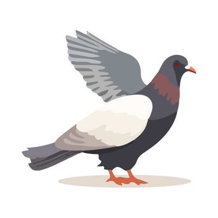 Cartoon pigeon isolated on white background. Cartoon style. Vector illustrationのイラスト素材