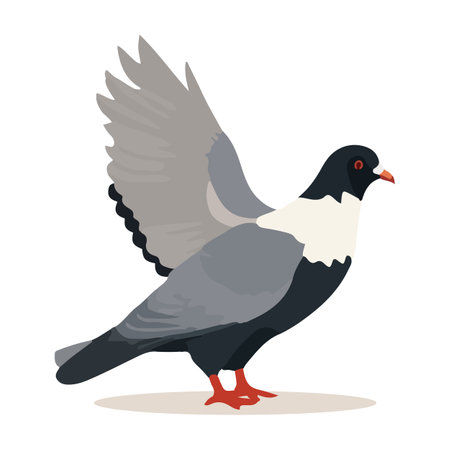 Pigeon with open wings. Vector illustration in flat style.のイラスト素材