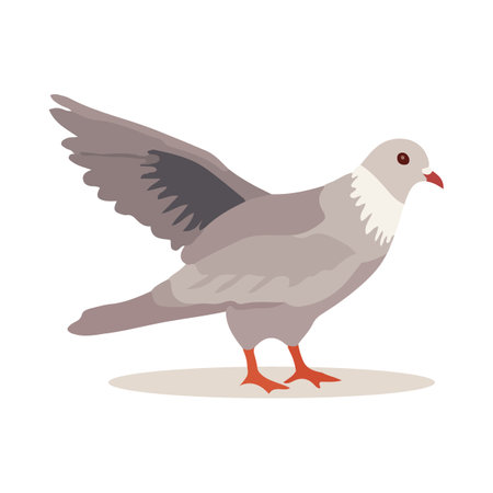 Pigeon bird isolated on white background. Cartoon style. Vector illustrationのイラスト素材