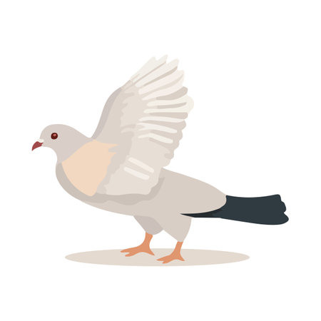 Pigeon bird isolated on white background. Vector illustration in flat style.のイラスト素材
