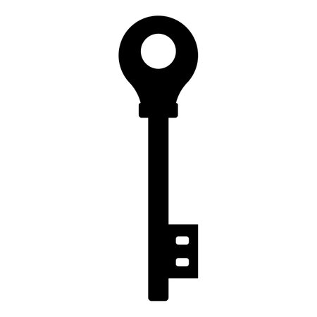 Black shape key isolated on white background. Vector illustration for any designのイラスト素材