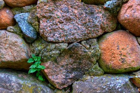 Close up of old stone wall background.の写真素材