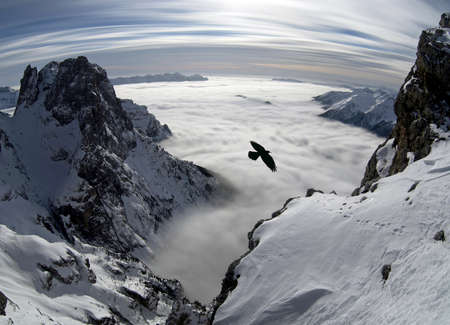 Sunny day on dolomites, sea of clouds, bird and peaksの写真素材