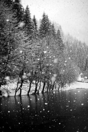 snow in the forest and the lake in black and whiteの写真素材