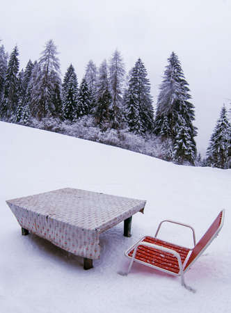 snow in the forest, picnic areaの写真素材