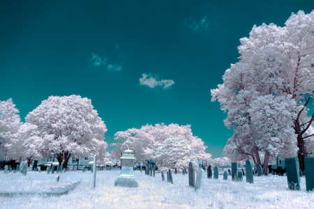 A cemetery shot in infrared, shows fantastical colors from seeing how light reflects in light that humans canの写真素材