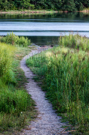 A path leads to a tidal lake through sea grasses.の写真素材