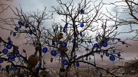Blue Evil eye charms hang on the tree in Cappadocia, Turkey