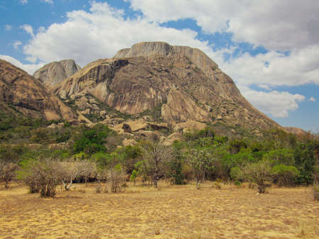 Inside at rainforest of Ranomafana National Park in eastern Madagascar. Lots of trees and green habitat landscapeの写真素材
