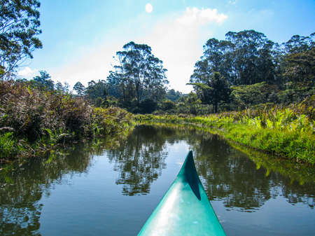 Green natural habitat at Tsiribihina river in Madagascarの写真素材