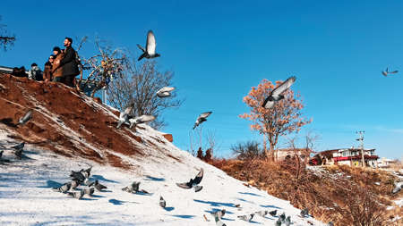 Birds flying together with snowy volcanic landscape in Cappadocia, Turkeyのeditorial素材