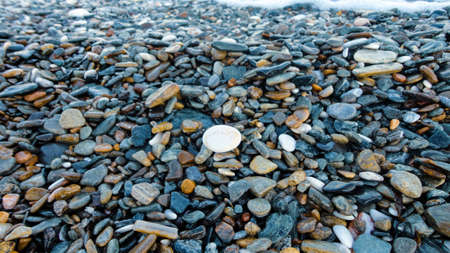 Stony beach on a sunny day. Background of different pebbles from above on the beachの写真素材