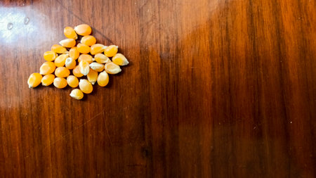 Popcorn seed on wooden background. Raw popcorn background texture. Background of bulk of yellow shiny corn grains.の写真素材