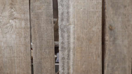 Natural wooden pier texture backgroud. Wooden pier plank background. Warm color of wooden panels on...