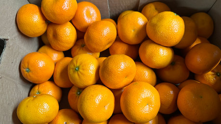 Fresh tangerines in a box, close-up, selective focusの写真素材