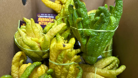 Green and yellow kaffir lime on the market in Thailand.