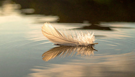 single soft white flower petal placed on wrinkled beige linen fabric, natural diffused light, minimal calm compositionの素材