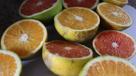 Slices of orange and grapefruit on a white background.の写真素材