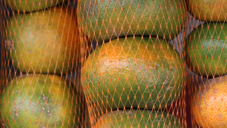 Close-up of orange fruit in a grid. Selective focus.の写真素材