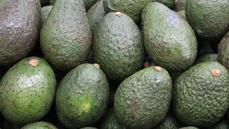 Avocado fruit for sale at the market, closeup of photo