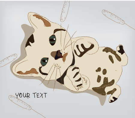 Baby catのイラスト素材