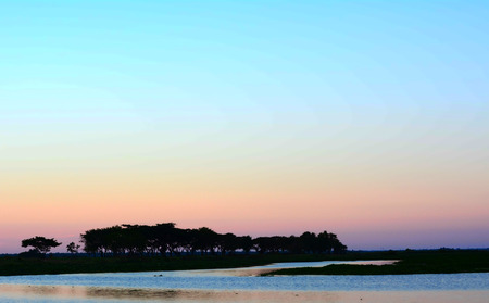 natureの写真素材