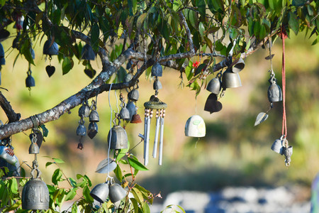 Bell hanging in the trees