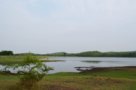 Lake water in the crop. And source of livelihood for fishermenの写真素材