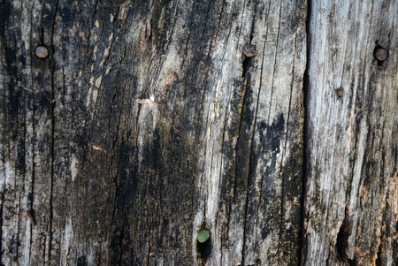 Old wooden background for textの写真素材