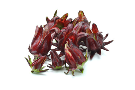 Roselle fresh on white backgroundの写真素材