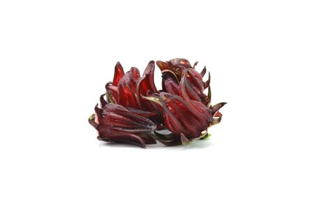 Roselle fresh on white backgroundの写真素材
