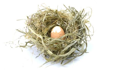 Close up of egg in bird nest on white backgroundの写真素材
