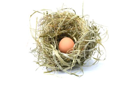 Close up of egg in bird nest on white backgroundの写真素材