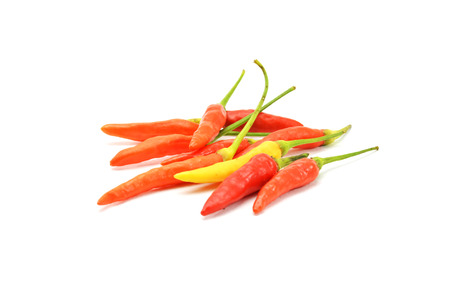 Fresh chilli isolated on whiteの写真素材