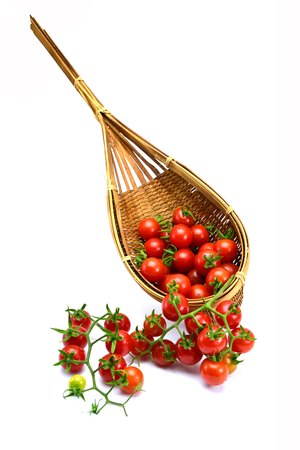 Tomato in basket wood on white backgroundの写真素材
