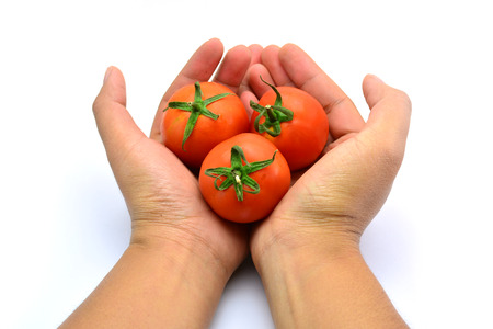 Tomatoes on hand a womanの写真素材