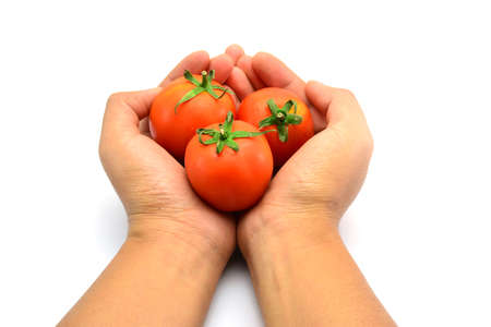 Tomatoes on hand a womanの写真素材