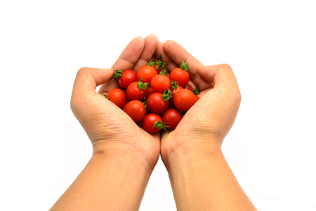 Tomatoes on hand a womanの写真素材