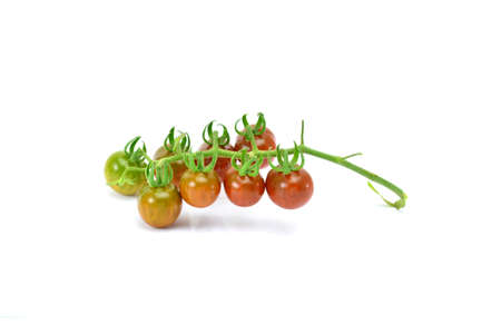 Tomato on white backgroundの写真素材