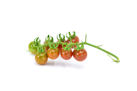 Tomato on white backgroundの写真素材