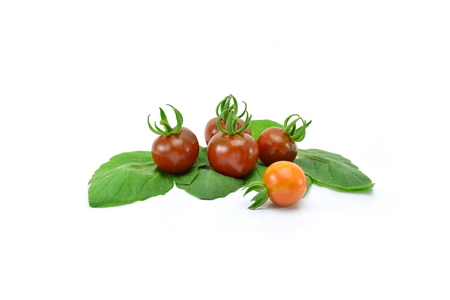 Tomato on white backgroundの写真素材