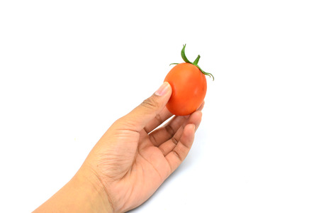 Tomatoes on hand a womanの写真素材