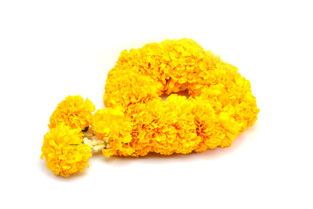 Marigold flowers garland backgroundの写真素材